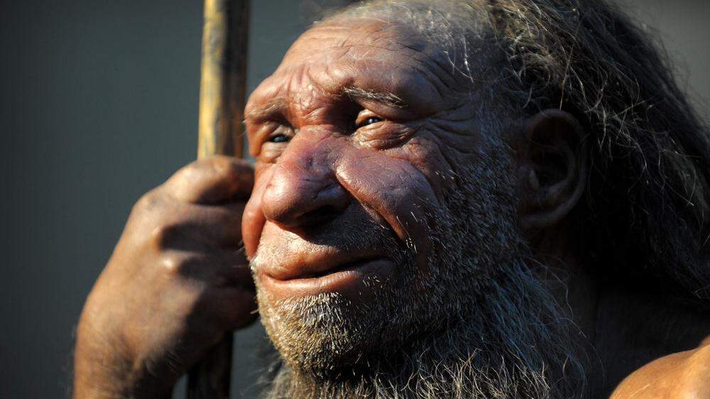 Neandertaler und moderner Mensch waren sich anatomisch sehr ähnlich