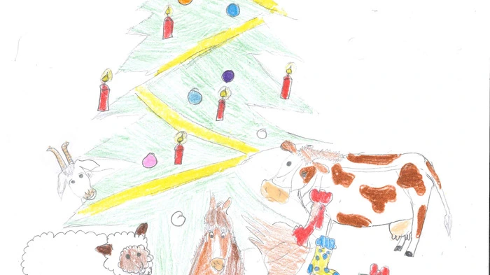 Hoffentlich ist für jedes Tier das passende Geschenk dabei! Bild von Johanna Hübler.