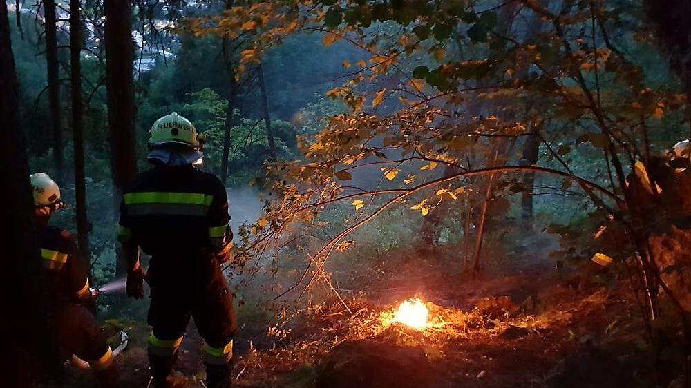 Die Freiwillige Feuerwehr St. Peter-Freienstein konnte den Waldbrand löschen