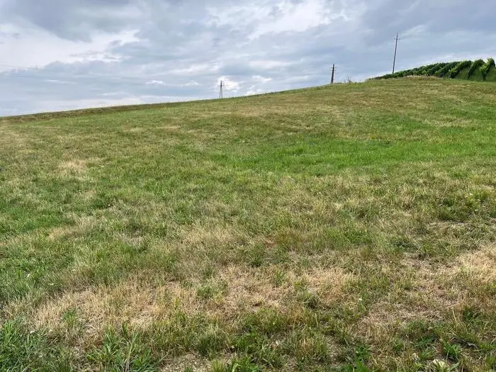 Durch die Trockenheit dorrten einige Wiesenflächen aus, trotz des Regens könne man das nicht mehr aufholen