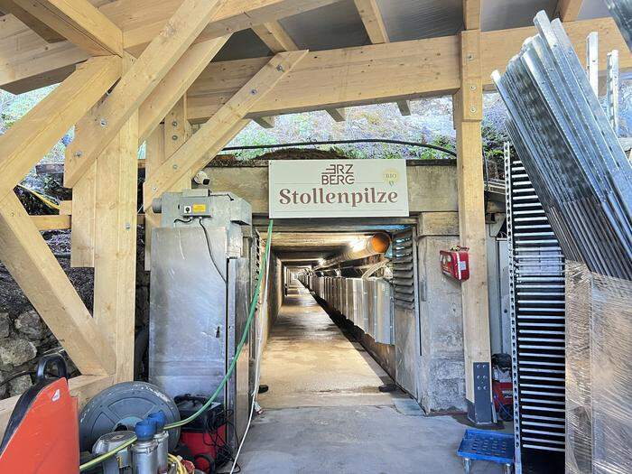 Ein 190 Meter langer Stollengang führt zu vier Reifekammern im ehemaligen Sprengmittellager des Untertagebaus am Erzberg