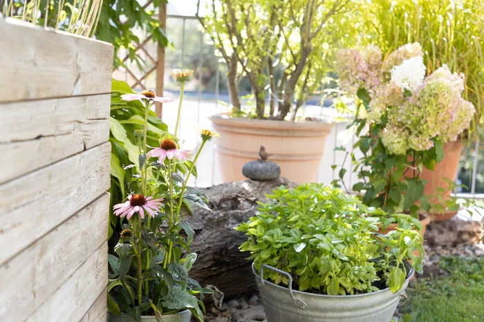 Gemeinsam hat man in Gartenangelegenheiten auch schon einiges gelernt. Zum Beispiel, dass winterharte Pflanzen besser für die Terrasse geeignet sind, weil sie irgendwann zu groß für das Stiegenhaus werden und dass sich vor allem Glyzinie, Lavendel und Hortensien – die Lieblingsblumen der Wohnungsbesitzerin – hier oben besonders wohlfühlen.