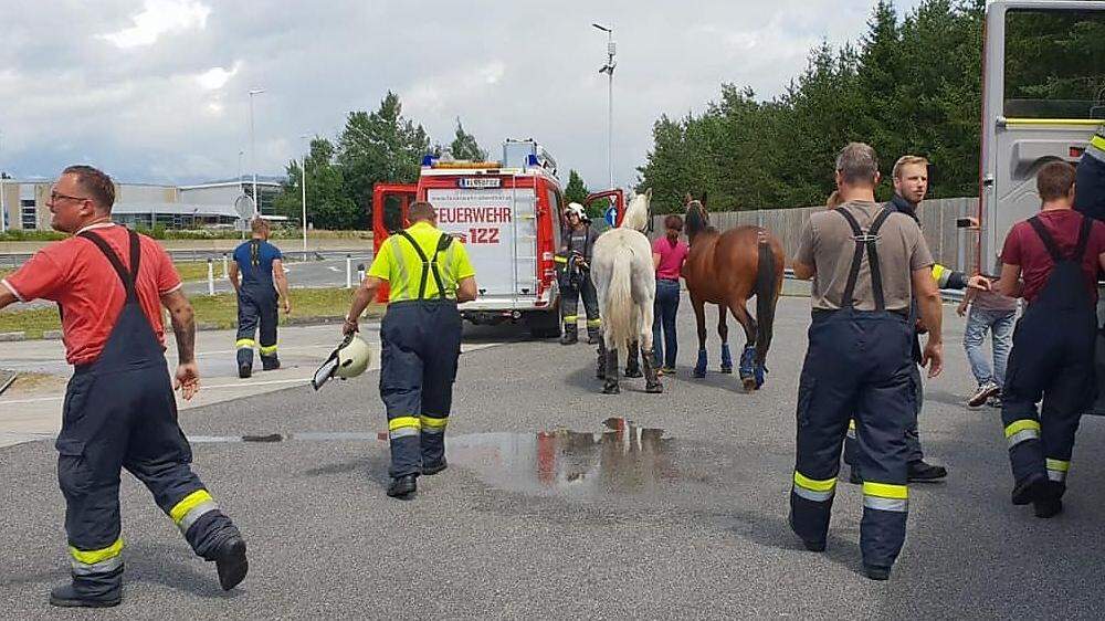 Die Feuerwehren konnten den Pferden rasch helfen