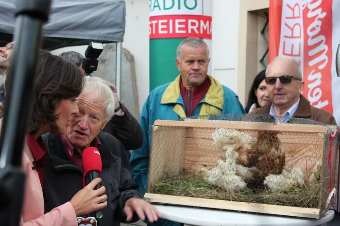 Die Herzen der Kinder ließ Hühnerzüchter Johann Pendl höher schlagen, der zur Segnung Küken mitbrachte.