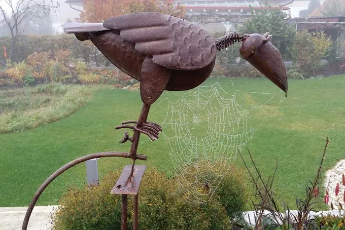 Ein "Bartgeier" im Garten von Roman Krautwaschl in Gleisdorf.