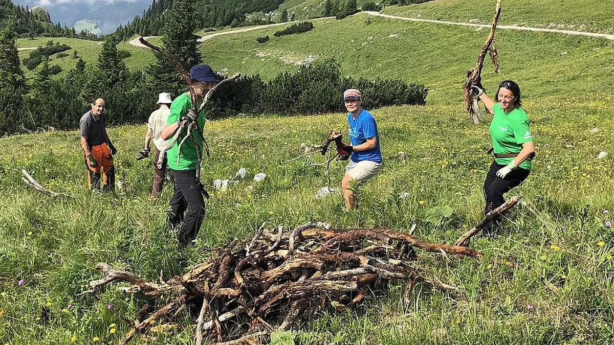 Projektleiterin Susanne Gahn (r.) und ihre Helfer haben allerhand zu tun