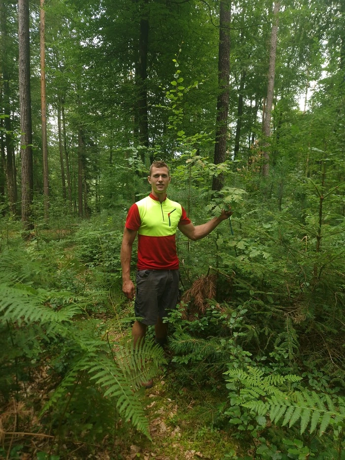 Christian Möstl, Baumpfleger aus Untergreith bei Mitterdorf an der Raab