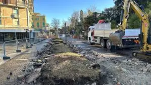 Baggerarbeiten in Grado. | Sieben Pinien mussten für die Sicherheit weichen