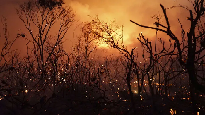 In Queensland in Australien wüten zurzeit heftige Buschfeuer. Dieses Bild zeigt die aktuelle Lage im Deepwater National Park.
