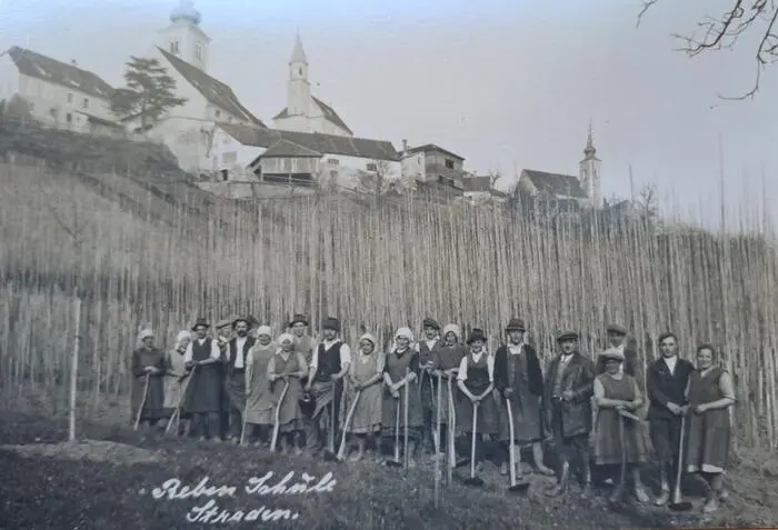 Die Stradener Rebenschule um 1930