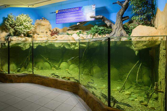 Das Aquarium in Wien