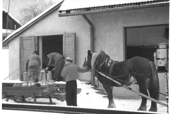 Die Milch kam per Zug, Pferdefuhrwerk ...