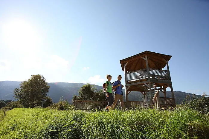 Entspanntes Wandern, Nordic Walken oder Laufen ist seit kurzem am neuen „Slow-Trail“ des Bleistätter Moores am Ossiacher See möglich. Auch gibt es geführte Wanderungen durch das Europaschutzgebiet der Tiebelmündung.