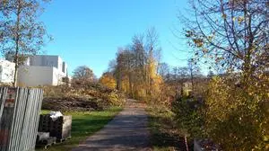 Die Bäume beim Glanradweg nahe der Grete-Bittner-Straße wurden entfernt