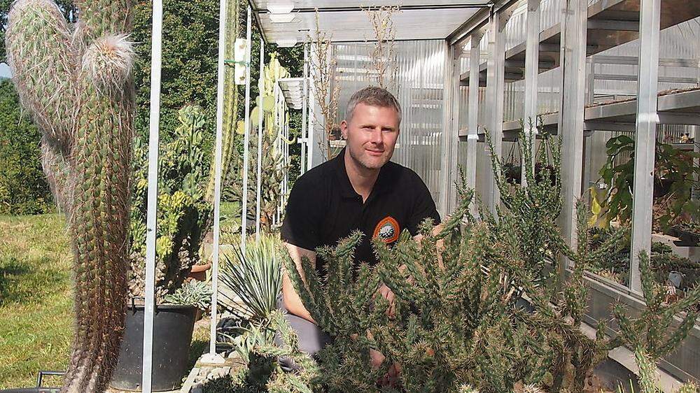 Martin Prosi in einer Ecke seines 84 Quadratmeter großen Glashauses: Insgesamt besitzt er 50.000 Pflanzen