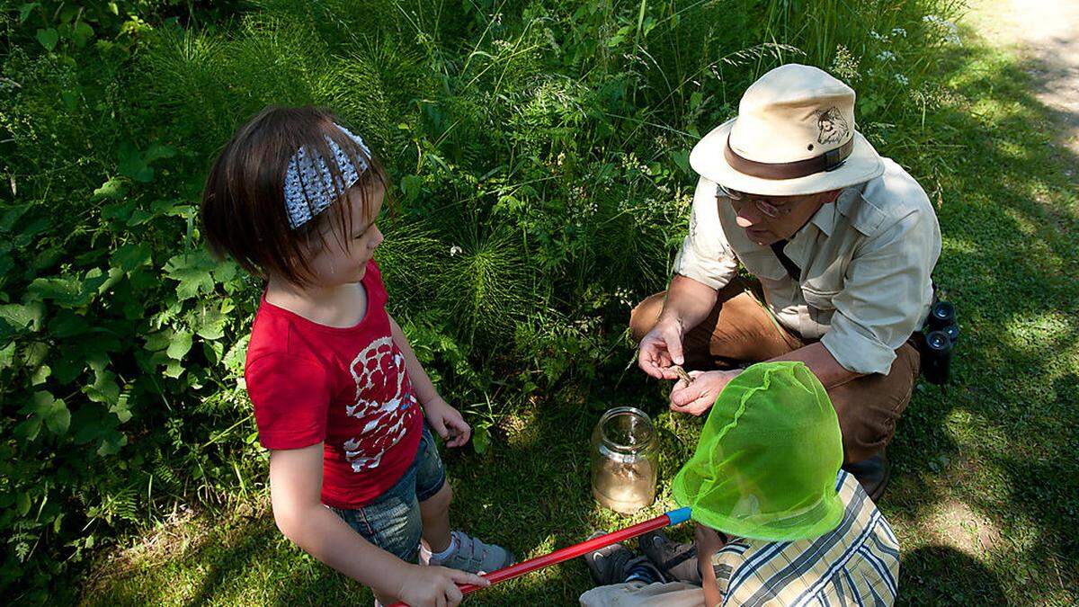 Idealer Ausflug für Familien. Im Sablatnigmoor lernen Kinder die Natur spielerisch kennen 