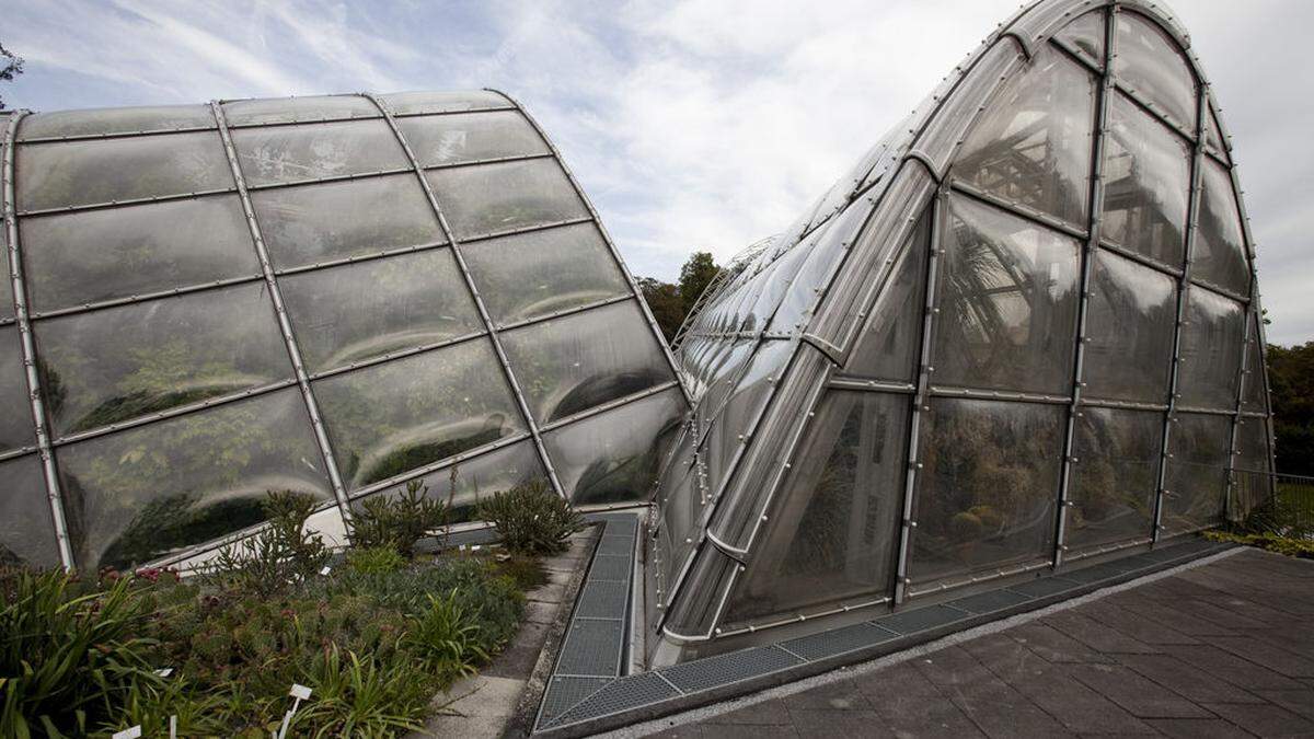 Veranstaltung im Botanischen Garten