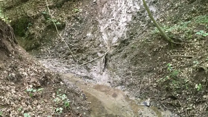 Aktuell sind vor allem Gebiete rund um Kleinsemmering, Hohenkogl, Gschwendt und Haselbach betroffen.