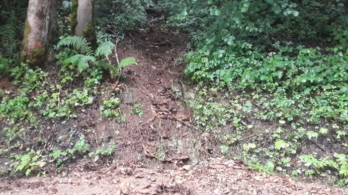 Einsatz Lippitzbach