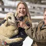 Brillenschaf-Experten Alexandra Sereinig und Zuchtpionier Friedhelm Jasbinschek freuen sich über Nachwuchsim Bodental