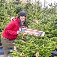 Martina Lienhart, Obfrau der steirischen Christbaumbauern
