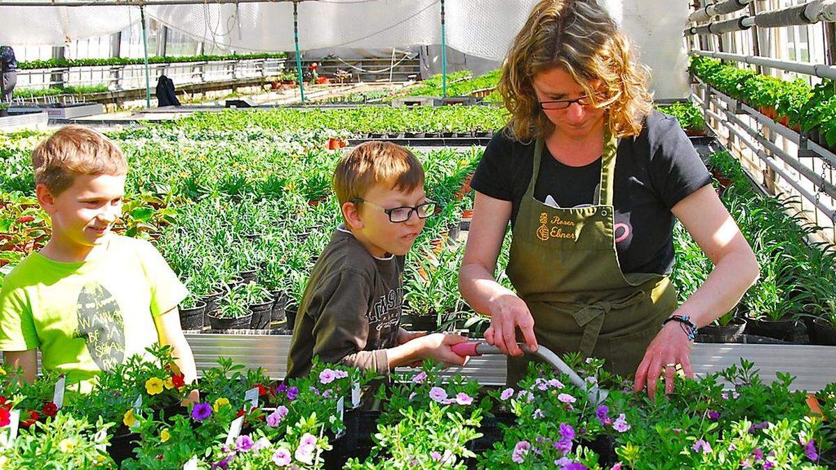 Früh üben sich die kleinen Meister. „Schule in der Gärtnerei“ bei Rosen Ebner in Weißbriach