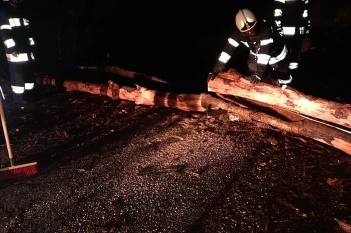 Die FF Latschach musste auf der Altfinkensteiner Straße einen Baum von der Fahrbahn entfernen