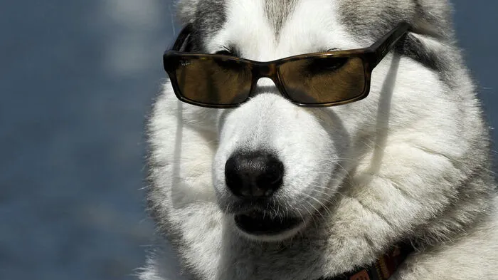 Hundstage bringen 30 Grad in der Steiermark - allerdings gefolgt von Gewittern am Wochende ... 