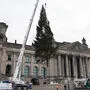 Christbaumaufstellen vor dem Bundestag. Union und SPD sprachen sich im Bundestag mehrheitlich für den UN-Migrationspakt aus 