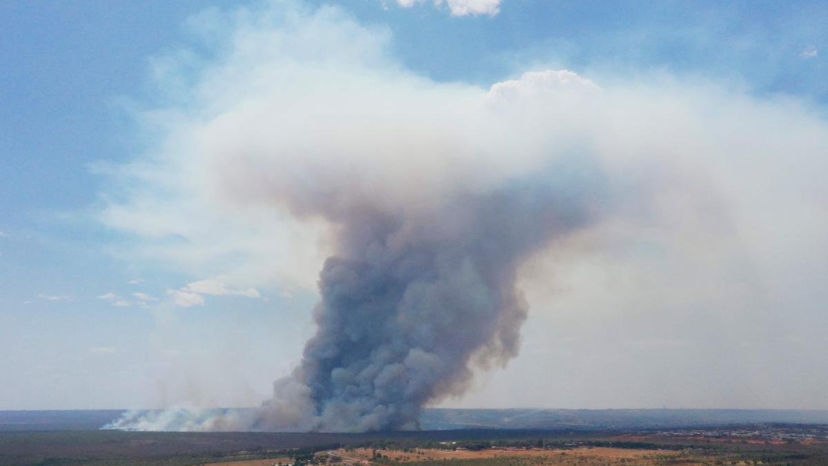 Feuer beim Brasilia National Park im September 2024