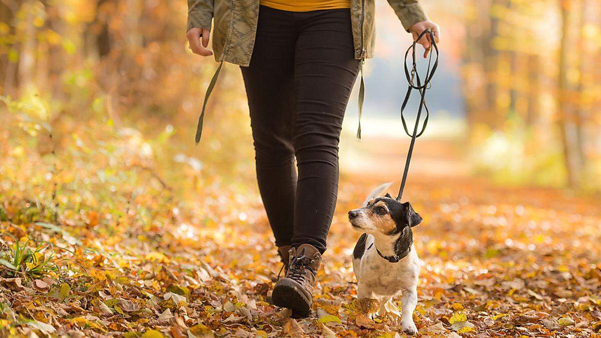 Ein Spaziergang im Trockenen sollte sich ausgehen