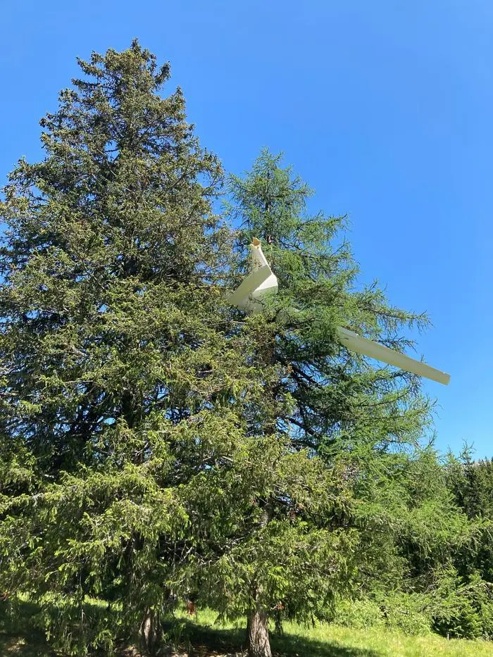 Der Pilot wurde leicht verletzt