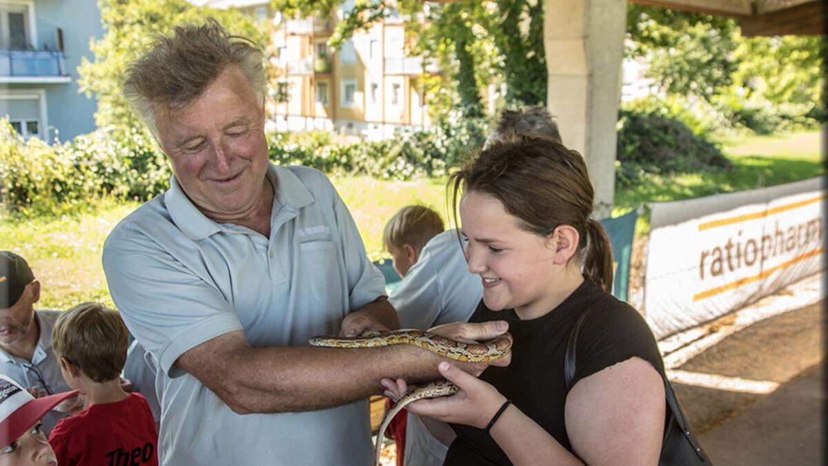 Die Kinder durften die Schlangen aus der Nähe betrachten