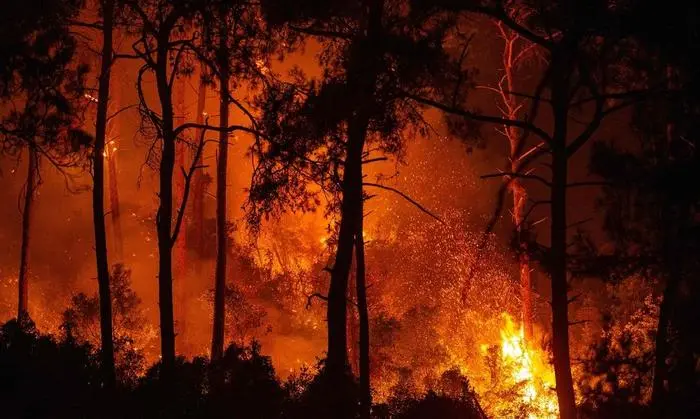 Heftige Brände in der Türkei 