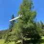 Der Segelflieger blieb mit der Nase nach unten im Baum hängen