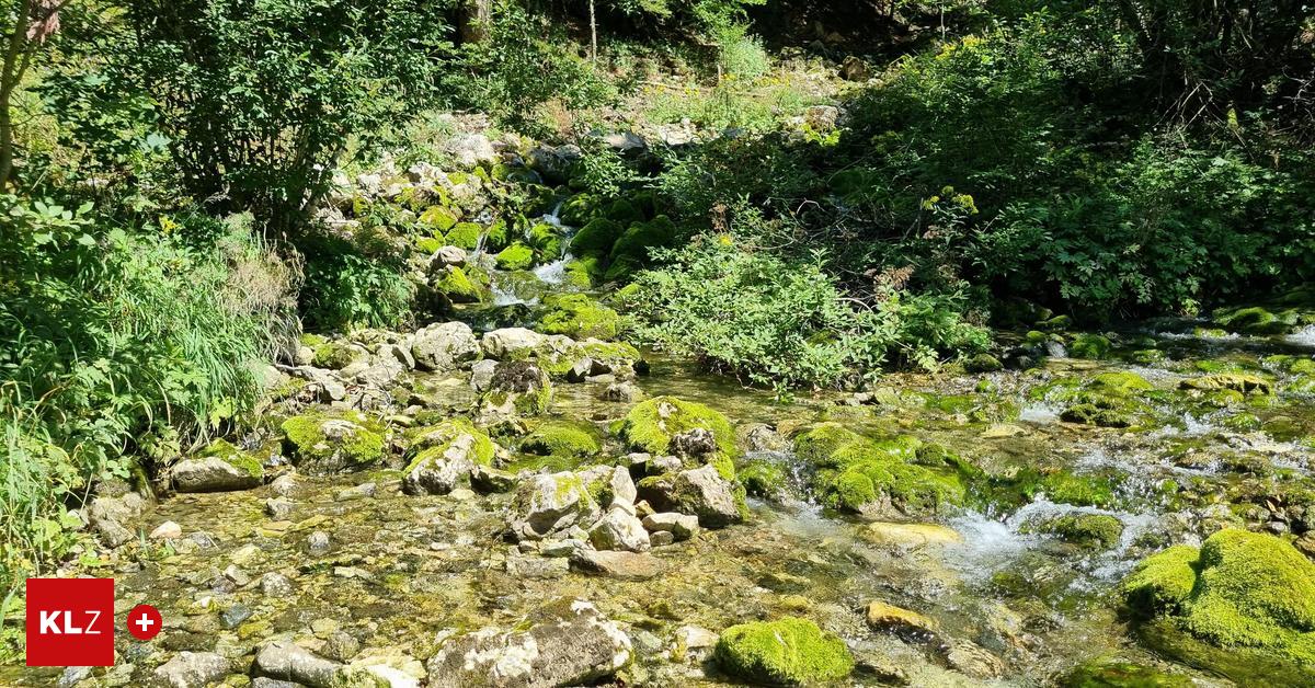 Warum-das-Wasser-dieser-Quelle-von-Neuberg-nach-Wien-flie-t
