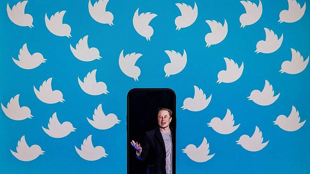 Elon Musk soll jetzt doch Twitter-Übernahme vorbereiten 
