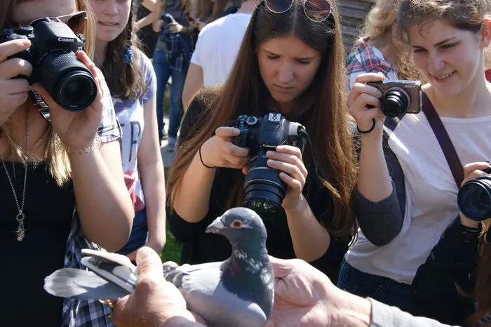 Fototermin mit Taube.