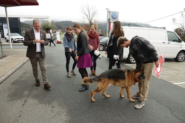 ... und vor allem viel Beschäftigung mit dem Schäferhund Pedro von Familie Paier, bis das Grazer WG-Trio an diesem Samstag so richtig in die Gänge kam.