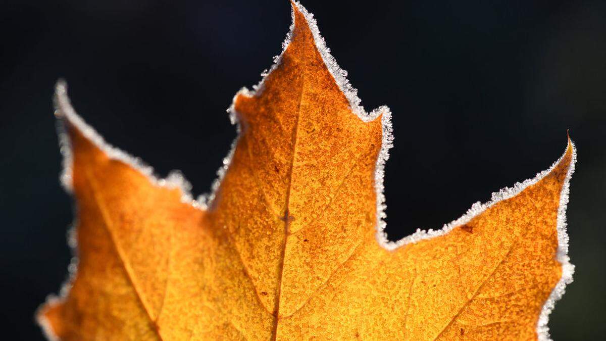 Frost in den Morgenstunden