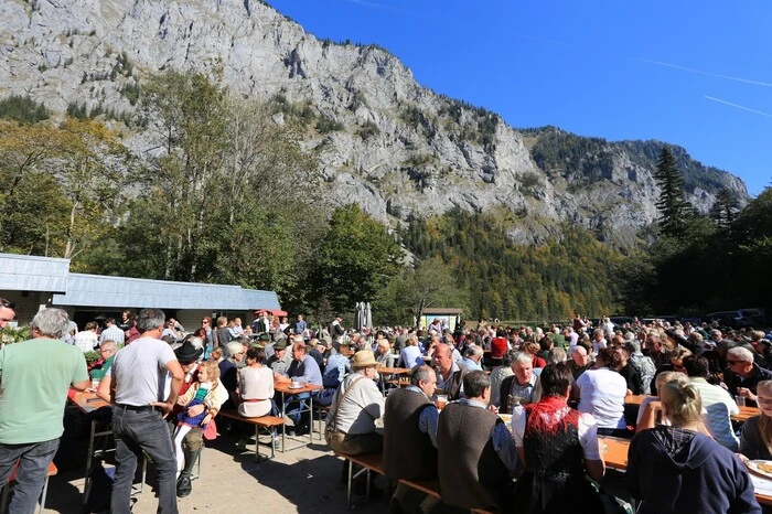 15 Gruppen aus Ober-, Niederösterreich und der Steiermark präsentierten sich und ihre Instrumente in wunderschönen Trachten. Sie spielten rund um den Leopoldsteinersee, auf den Stegen und in Booten und ließen alte Weisen, traditionelle Volkslieder, aber auch modernere Stücke erklingen.