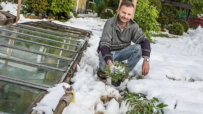 Auch viele Gärtnereien wie hier in Klagenfurt-Viktring beklagen große Schäden