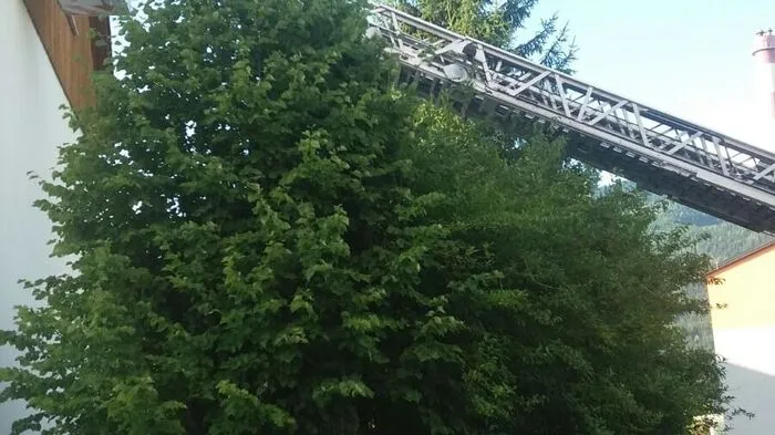 Einfach durchklicken!