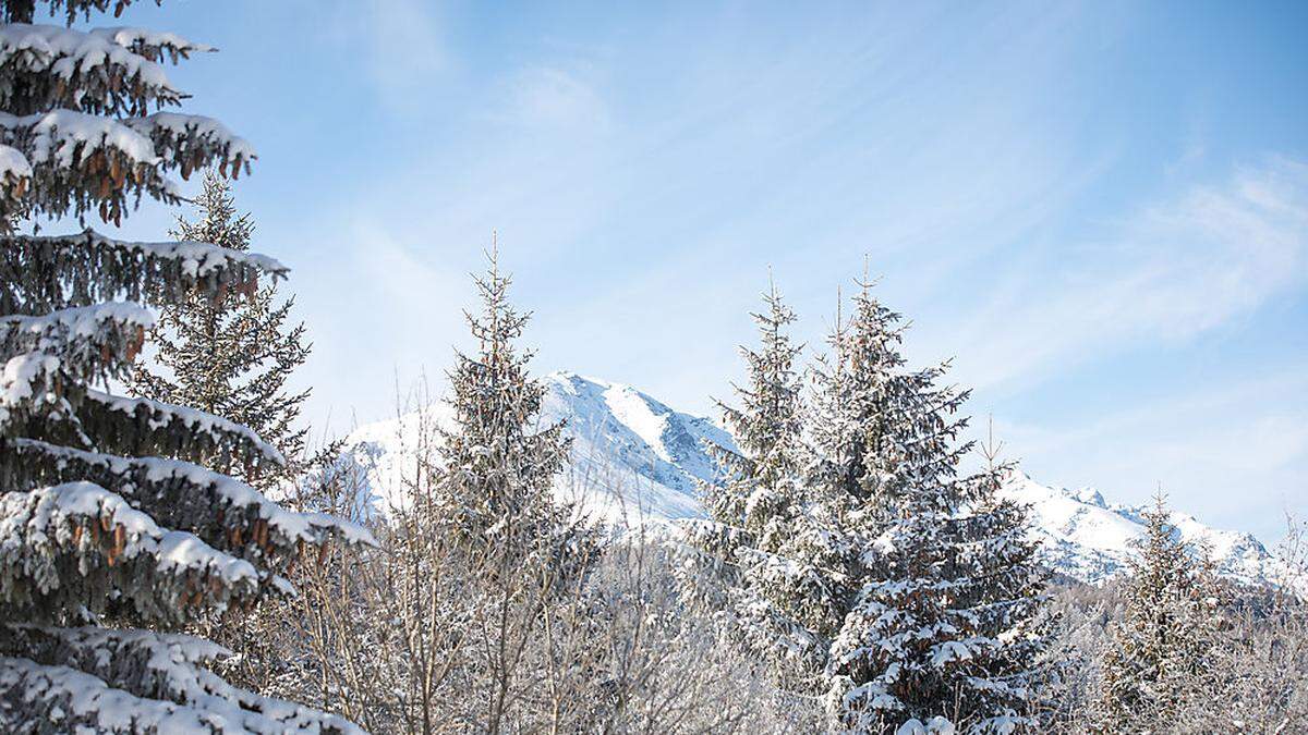 Mit ihren Wetterprognosen möchten Michael und Julian Bürger Planungssicherheit für Kärnten, Osttirol und die Steiermark schaffen