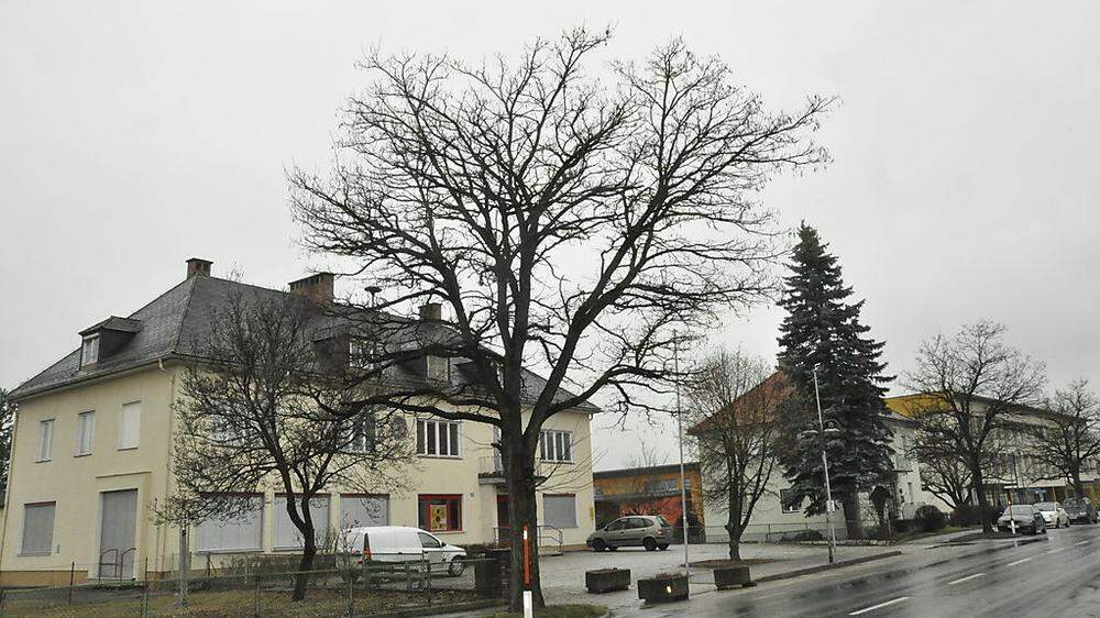 Im alten Kindergarten St. Stefan (links im Bild) sollen 20 minderjährige Flüchtlinge einziehen. In unmittelbarer Nähe sind Kindergarten, Volks- und Neue Mittelschule