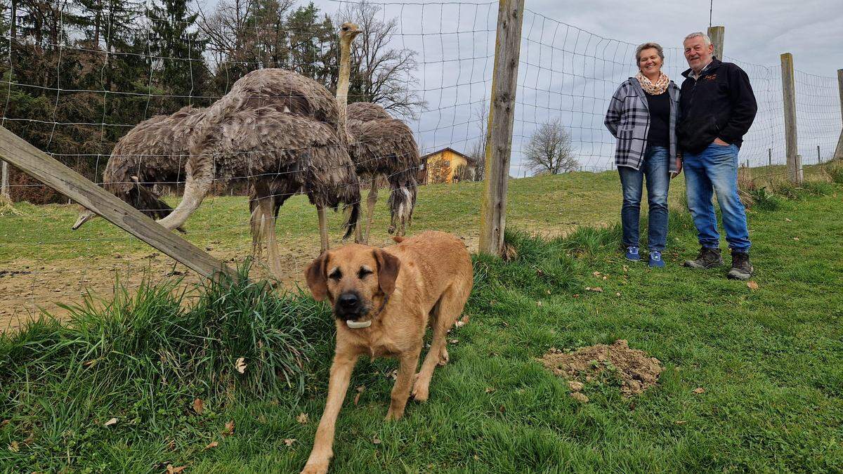 Monika und Franz Vötsch mit Hund Bruno vor dem Gehege