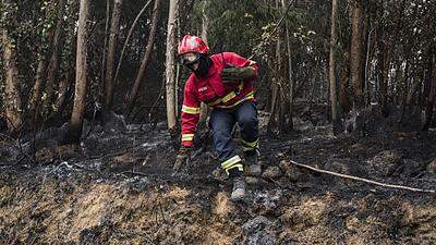 Das Feuer hat bisher mehr als 16.500 Hektar zerstört