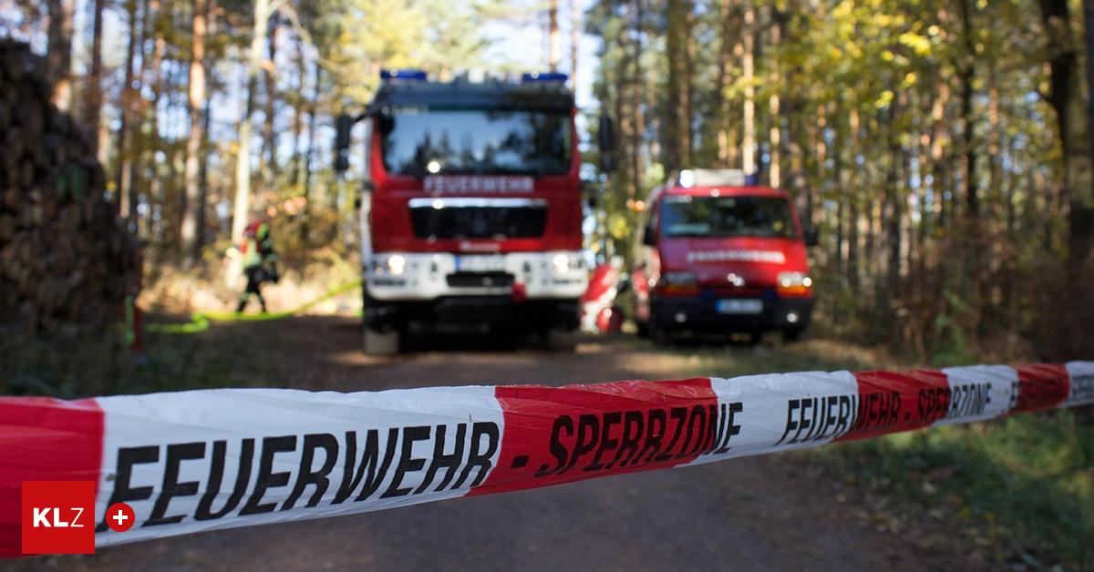 M-nichwald-Christbaumbauer-verstirbt-bei-Waldarbeiten-an-Herzinfarkt