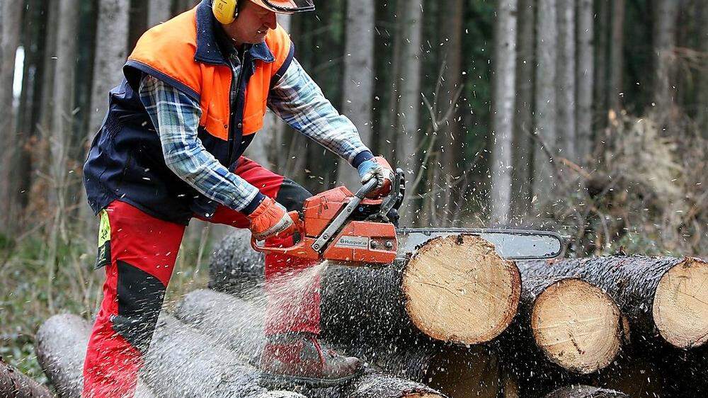 Gefährliche Forstarbeit - Symbolfoto