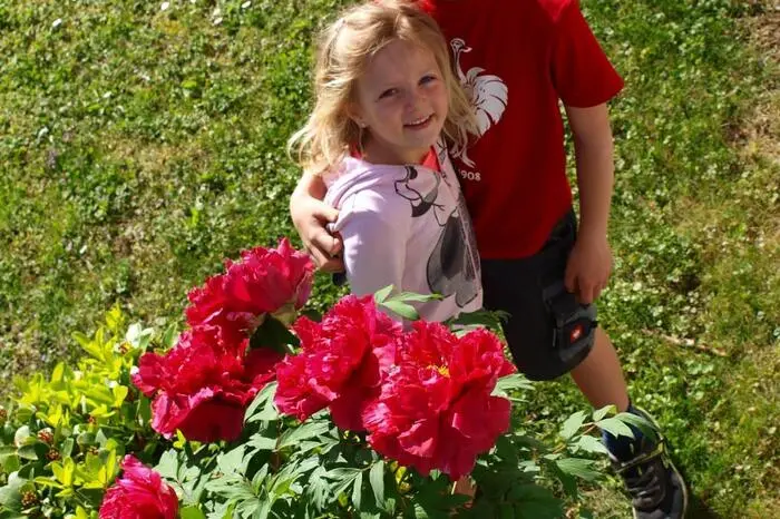 Daniel und Anna aus Glanz an der Weinstraße posieren mit den blühenden Pfingstrosen im Garten.